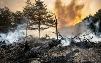 Оценка ущерба после стихийного бедствия в Красноярске: отчет оценщика